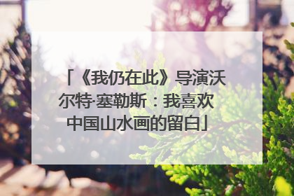《我仍在此》导演沃尔特·塞勒斯：我喜欢中国山水画的留白