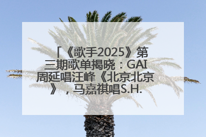 《歌手2025》第三期歌单揭晓：GAI周延唱汪峰《北京北京》，马嘉祺唱S.H.E《你曾是少年》