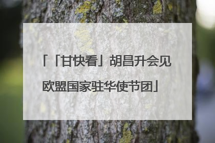 「甘快看」胡昌升会见欧盟国家驻华使节团