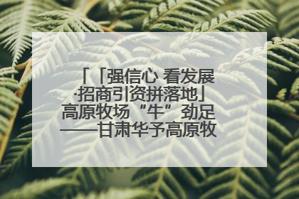 「强信心 看发展·招商引资拼落地」高原牧场“牛”劲足——甘肃华予高原牧场高标准奶牛肉牛养殖项目一线见闻