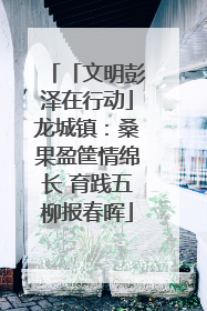 「文明彭泽在行动」龙城镇：桑果盈筐情绵长 育践五柳报春晖