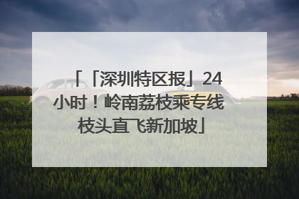 「深圳特区报」24小时！岭南荔枝乘专线 枝头直飞新加坡