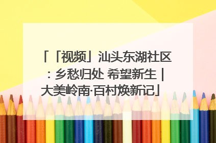 「视频」汕头东湖社区：乡愁归处 希望新生｜大美岭南·百村焕新记