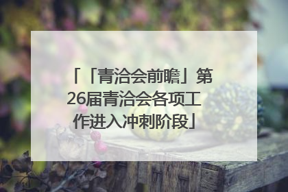 「青洽会前瞻」第26届青洽会各项工作进入冲刺阶段
