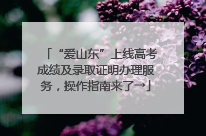 “爱山东”上线高考成绩及录取证明办理服务，操作指南来了→