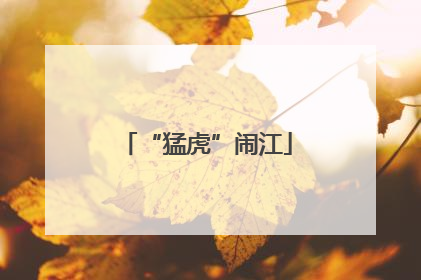 “猛虎”闹江
