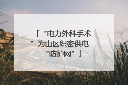 “电力外科手术”为山区织密供电“防护网”