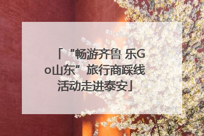“畅游齐鲁 乐Go山东”旅行商踩线活动走进泰安