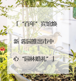 “百年”宾馆焕新 蓉园推出市中心“园林婚礼”