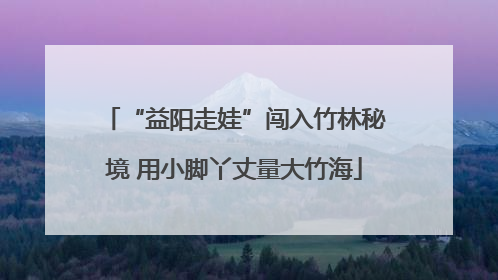 “益阳走娃”闯入竹林秘境 用小脚丫丈量大竹海