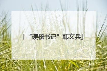 “硬核书记”韩文兵