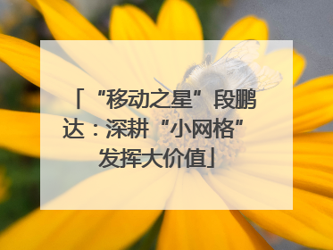 “移动之星”段鹏达：深耕“小网格” 发挥大价值