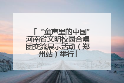 “童声里的中国”河南省文明校园合唱团交流展示活动（郑州站）举行