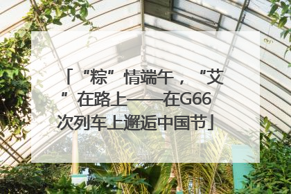“粽”情端午，“艾”在路上——在G66次列车上邂逅中国节