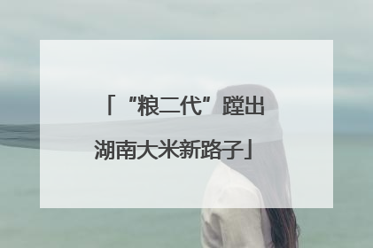 “粮二代”蹚出湖南大米新路子