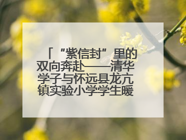 “紫信封”里的双向奔赴——清华学子与怀远县龙亢镇实验小学学生暖心书信之约
