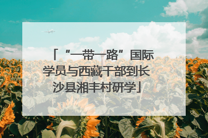 “一带一路”国际学员与西藏干部到长沙县湘丰村研学