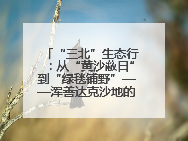 “三北”生态行：从“黄沙蔽日”到“绿毯铺野”——浑善达克沙地的“绿色重生”
