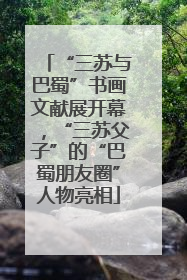 “三苏与巴蜀”书画文献展开幕，“三苏父子”的“巴蜀朋友圈”人物亮相