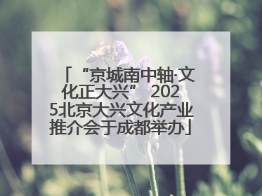 “京城南中轴·文化正大兴” 2025北京大兴文化产业推介会于成都举办
