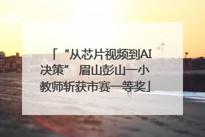 “从芯片视频到AI决策” 眉山彭山一小教师斩获市赛一等奖