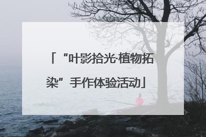 “叶影拾光·植物拓染”手作体验活动
