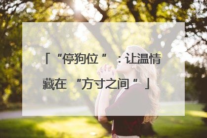 “停狗位 ”：让温情藏在 “方寸之间 ”