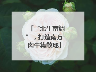 “北牛南调”，打造南方肉牛集散地