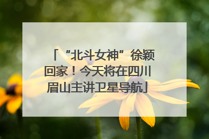 “北斗女神”徐颖回家！今天将在四川眉山主讲卫星导航