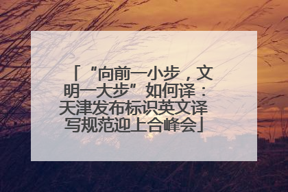 “向前一小步，文明一大步”如何译：天津发布标识英文译写规范迎上合峰会