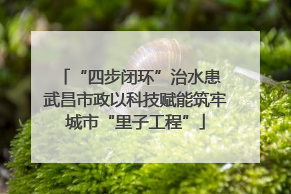 “四步闭环”治水患 武昌市政以科技赋能筑牢城市“里子工程”
