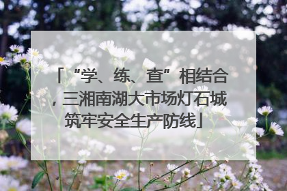 “学、练、查”相结合，三湘南湖大市场灯石城筑牢安全生产防线