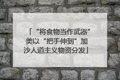 “将食物当作武器” 美以“把手伸到”加沙人道主义物资分发