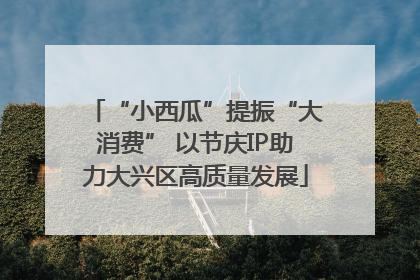 “小西瓜”提振“大消费” 以节庆IP助力大兴区高质量发展
