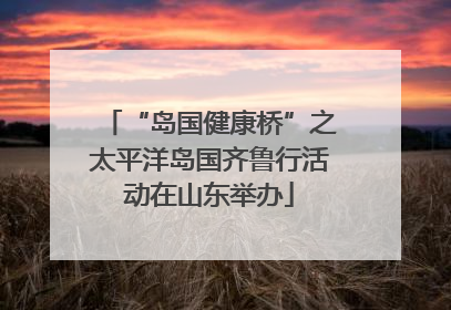 “岛国健康桥”之太平洋岛国齐鲁行活动在山东举办