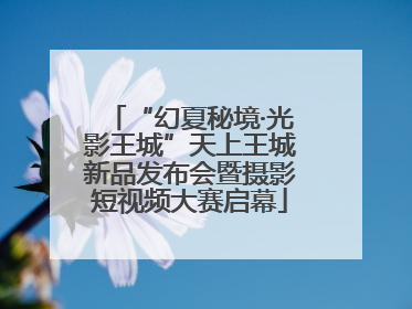 “幻夏秘境·光影王城”天上王城新品发布会暨摄影短视频大赛启幕
