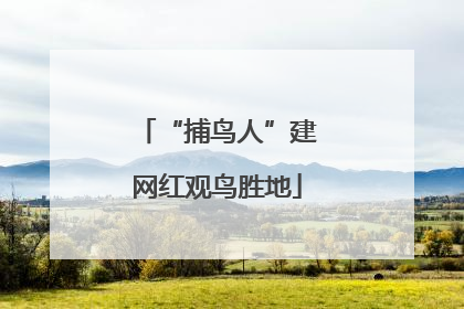 “捕鸟人”建网红观鸟胜地