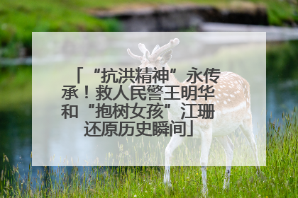 “抗洪精神”永传承！救人民警王明华和“抱树女孩”江珊还原历史瞬间