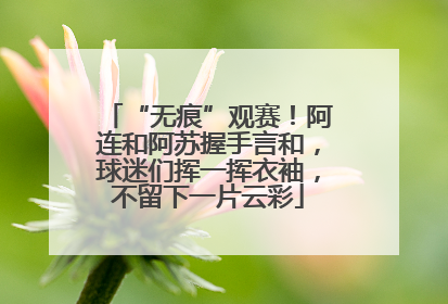 “无痕”观赛！阿连和阿苏握手言和，球迷们挥一挥衣袖，不留下一片云彩