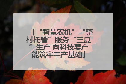 “智慧农机”“整村托管”服务“三夏”生产 向科技要产能筑牢丰产基础
