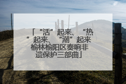 “活”起来、“热”起来、“潮”起来 榆林榆阳区奏响非遗保护三部曲