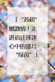 “苏超”燃激情！走进宿迁球迷心中的那片“绿茵”