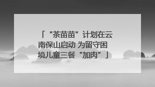 “茶苗苗”计划在云南保山启动 为留守困境儿童三餐“加肉”