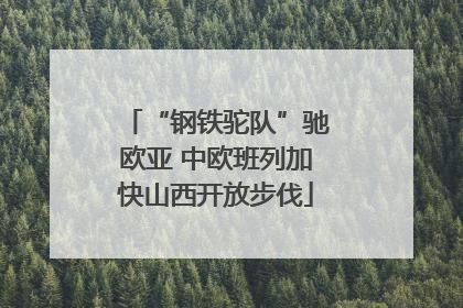 “钢铁驼队”驰欧亚 中欧班列加快山西开放步伐