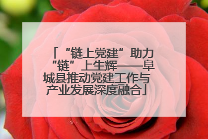 “链上党建”助力“链”上生辉——阜城县推动党建工作与产业发展深度融合