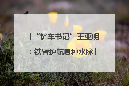 “铲车书记”王亚明：铁臂护航夏种水脉