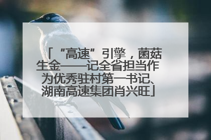 “高速”引擎，菌菇生金——记全省担当作为优秀驻村第一书记、湖南高速集团肖兴旺