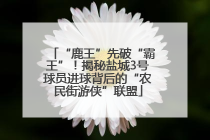 “鹿王”先破“霸王”！揭秘盐城3号球员进球背后的“农民街游侠”联盟