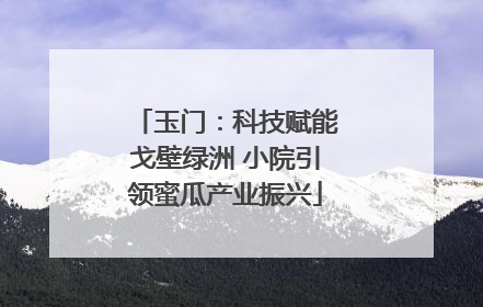 玉门：科技赋能戈壁绿洲 小院引领蜜瓜产业振兴