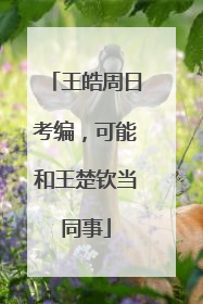 王皓周日考编，可能和王楚钦当同事